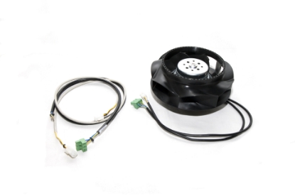 Show details for S. ventilator Advance Picture of S. ventilator Advance